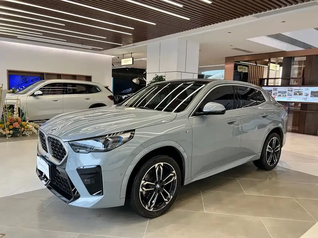BMW X2 (Import) 2024 из CN, фото 10