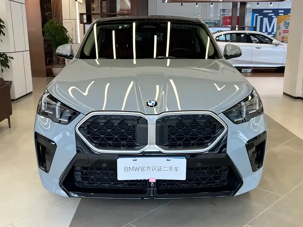 BMW X2 (Import) 2024 из CN, фото 2