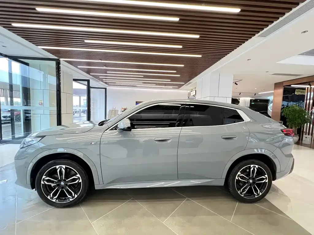 BMW X2 (Import) 2024 из CN, фото 4
