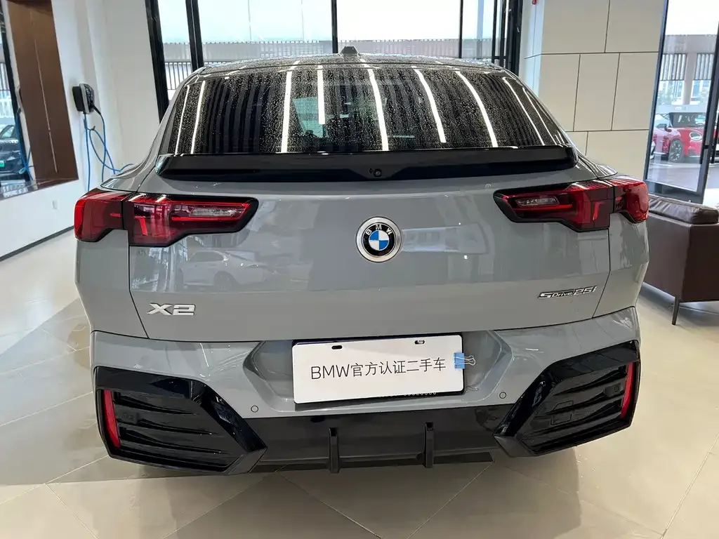 BMW X2 (Import) 2024 из CN, фото 7