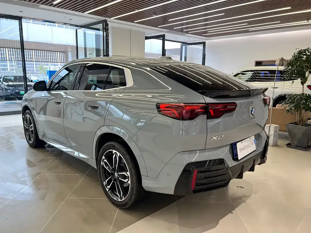 BMW X2 (Import) 2024 из CN, фото 9