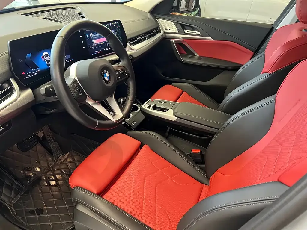 BMW X2 (Import) 2024 из CN, фото 5