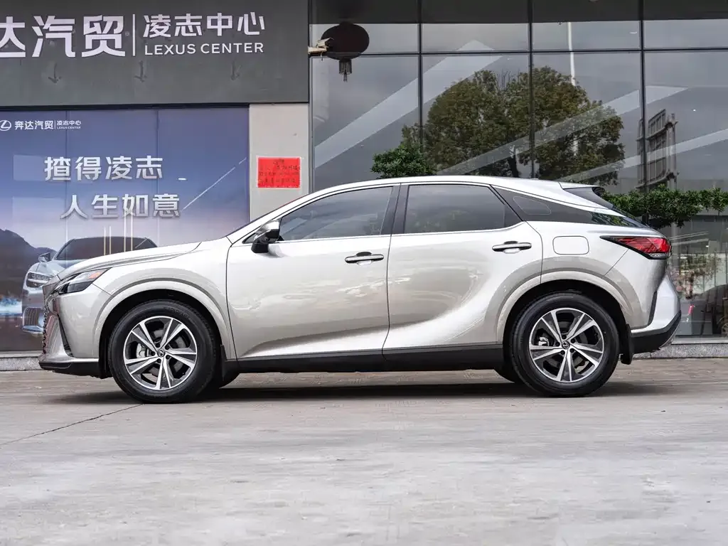 Lexus RX — фото 9