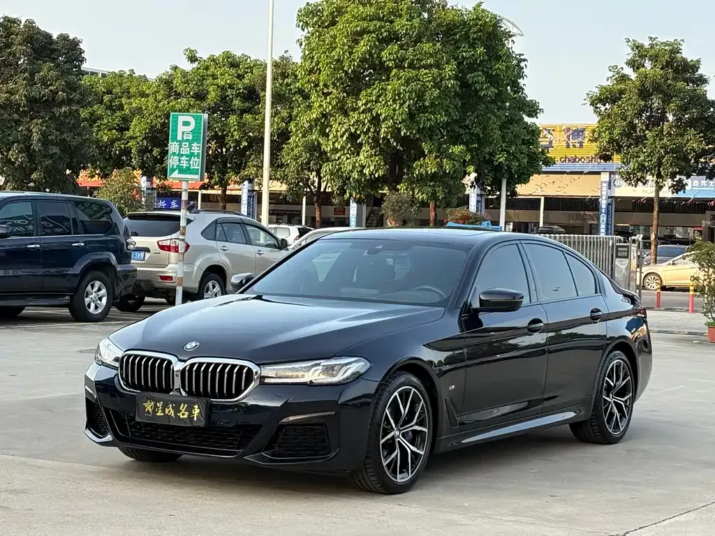 BMW 5 Series (Import) — фото 10