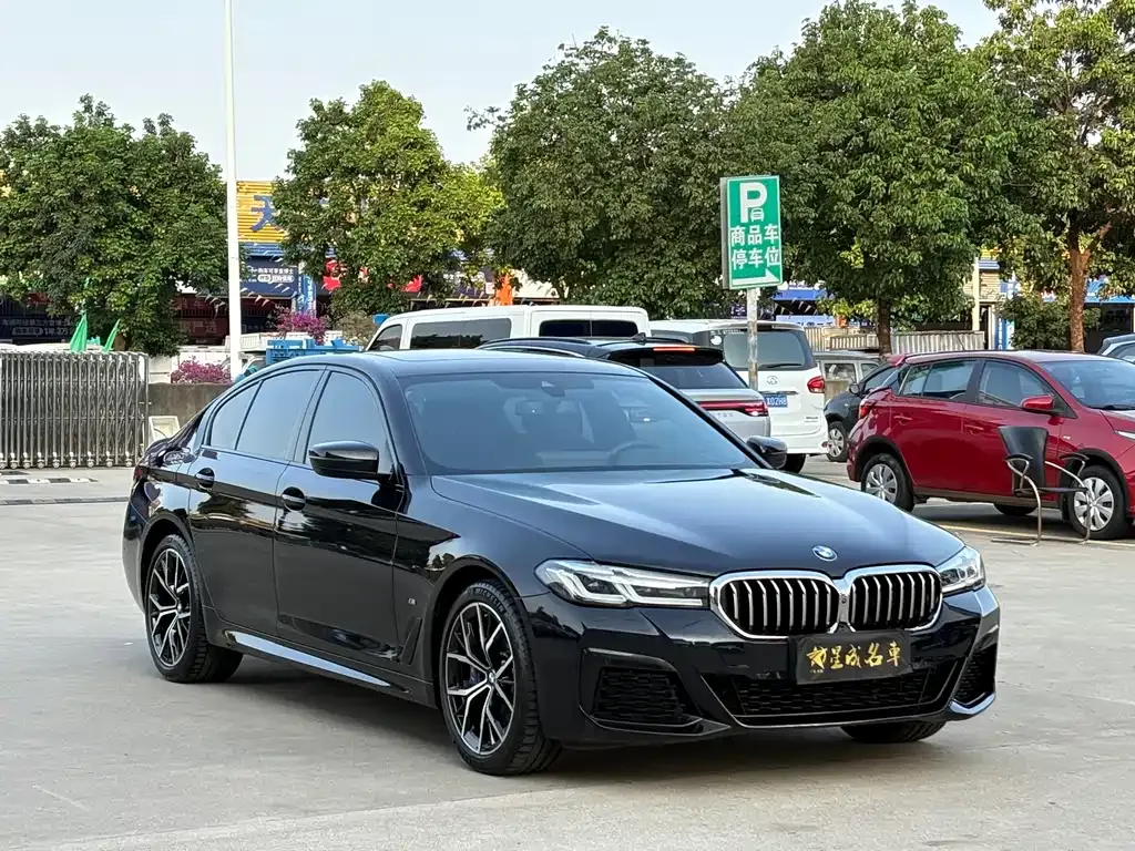 BMW 5 Series (Import) — фото 9