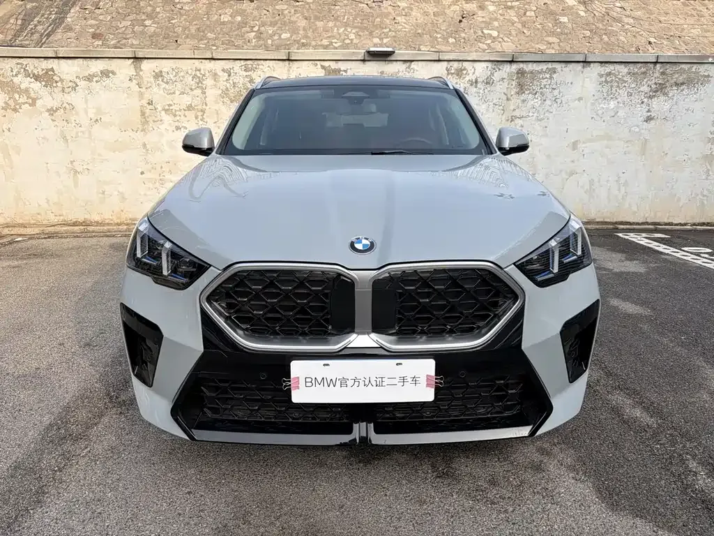 BMW X2 (Import) 2025 из CN, фото 8
