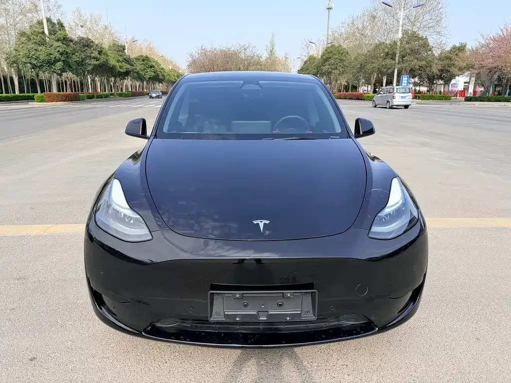 Tesla Model Y — фото 7