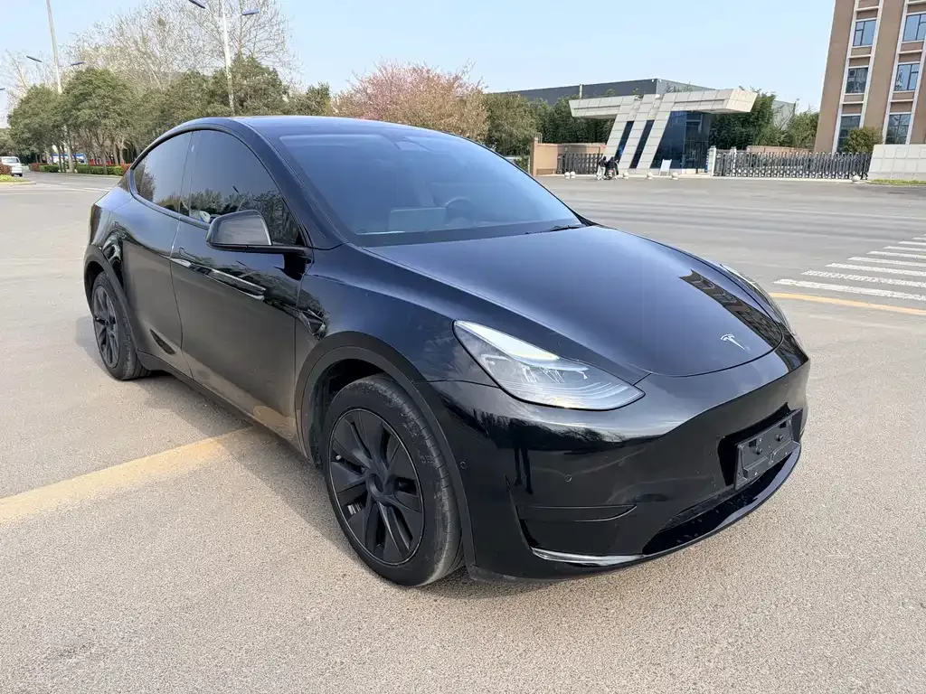 Tesla Model Y — фото 9