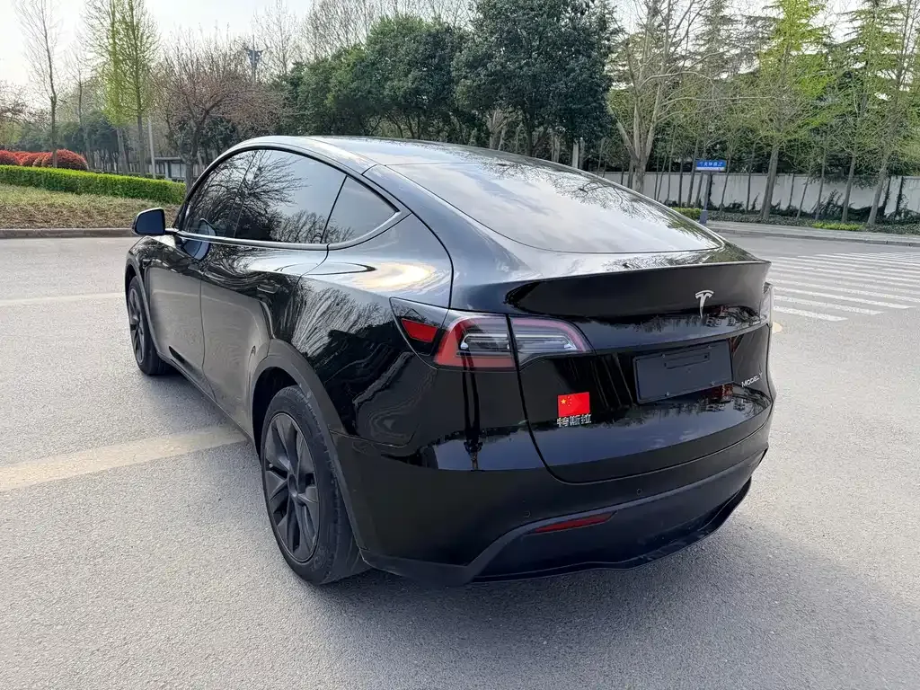 Tesla Model Y — фото 5