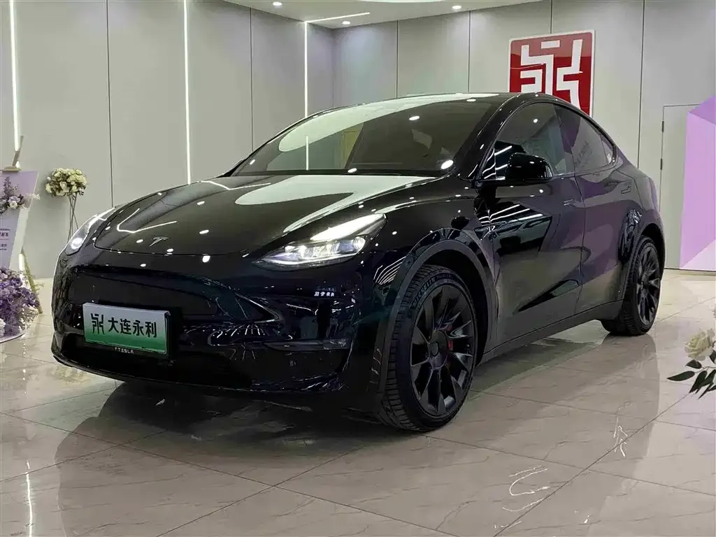 Tesla Model Y 2021 из CN, фото 1