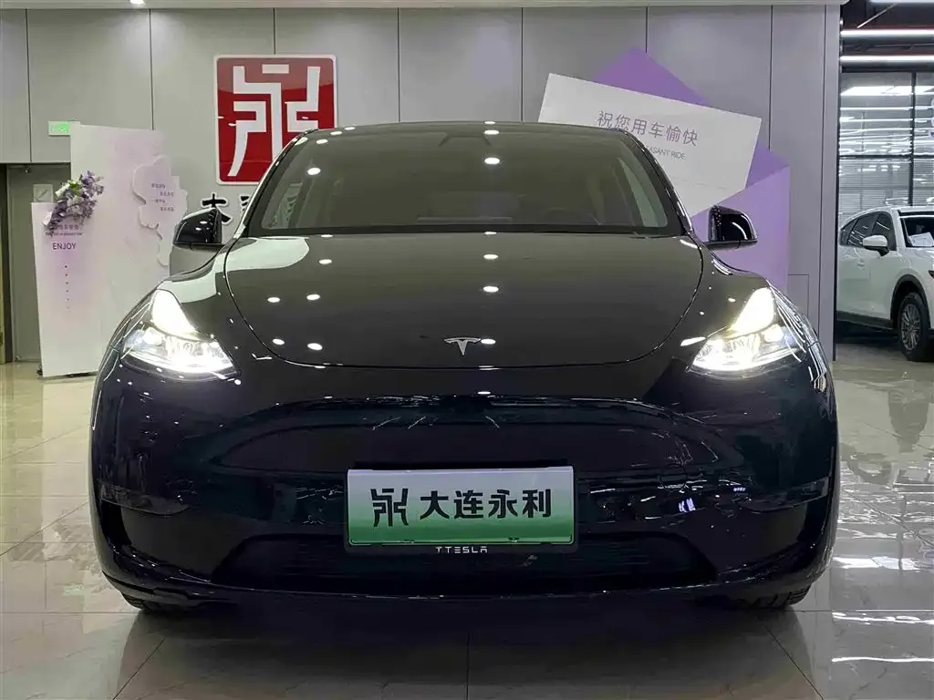 Tesla Model Y 2021 из CN, фото 6