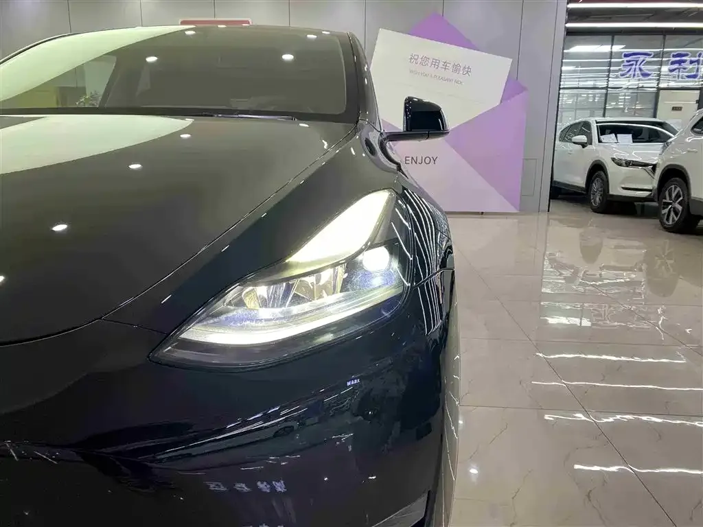 Tesla Model Y 2021 из CN, фото 4