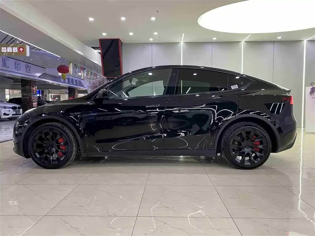 Tesla Model Y 2021 из CN, фото 7