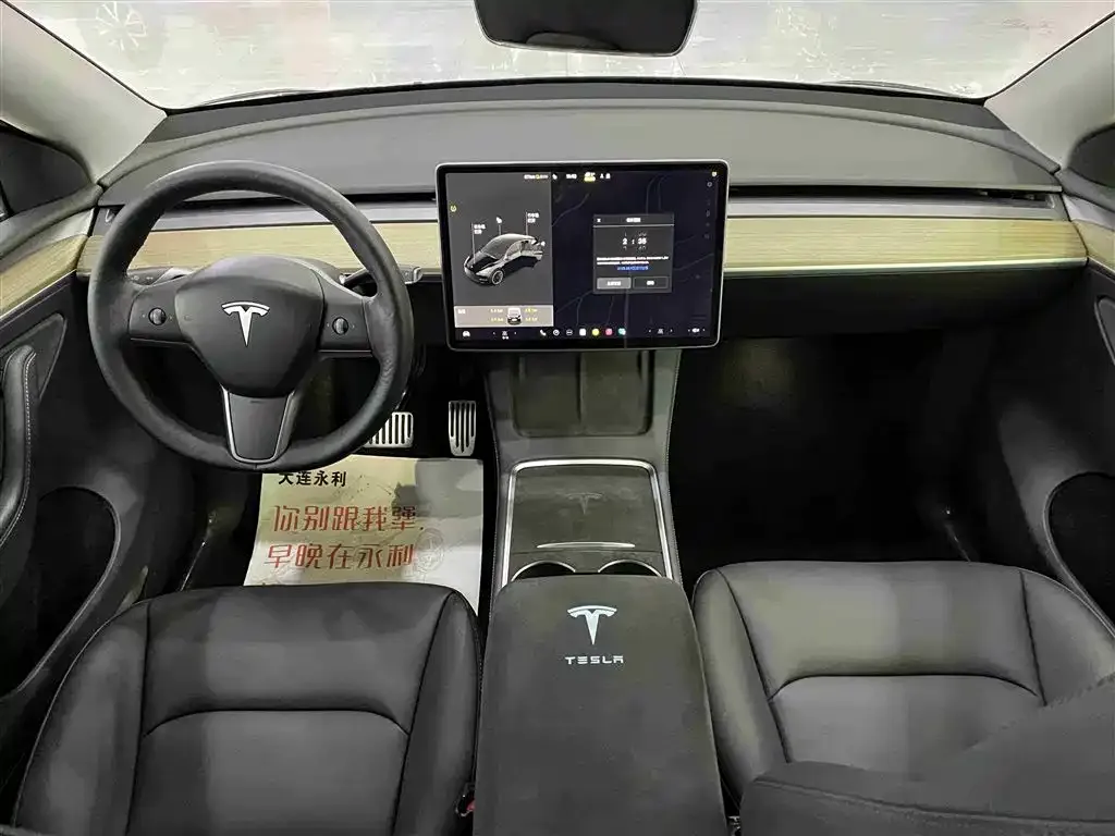 Tesla Model Y 2021 из CN, фото 9