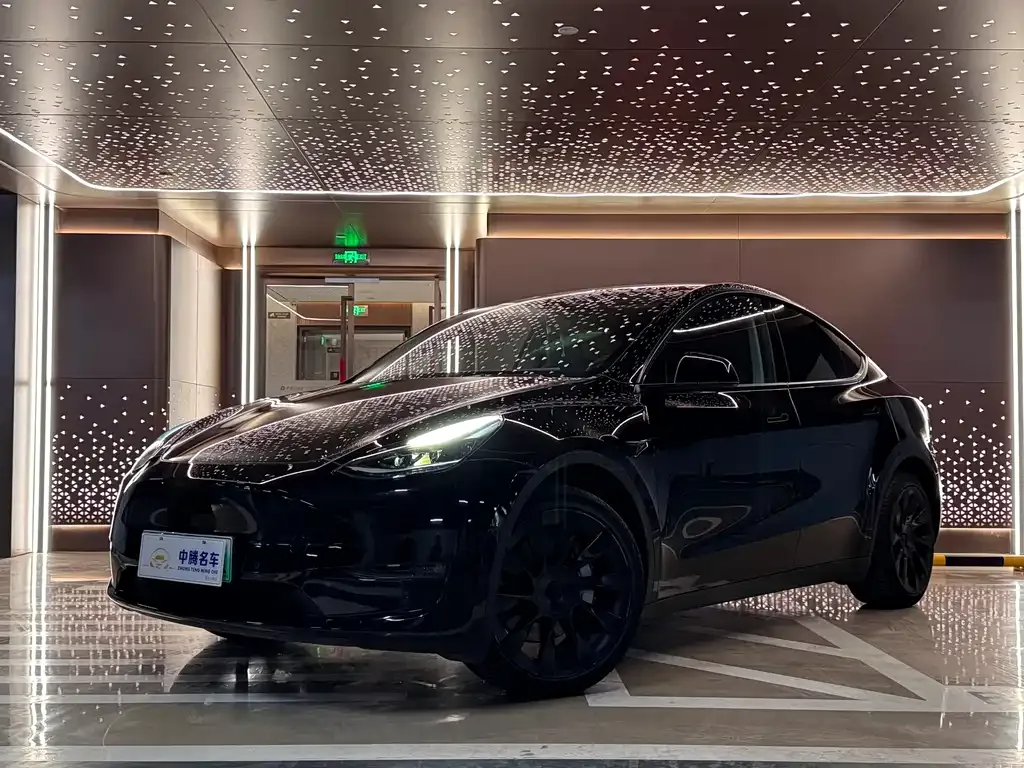 Tesla Model Y — фото 1