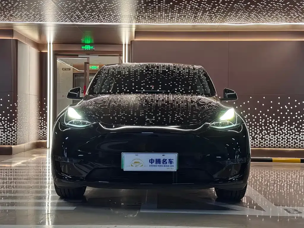 Tesla Model Y — фото 5