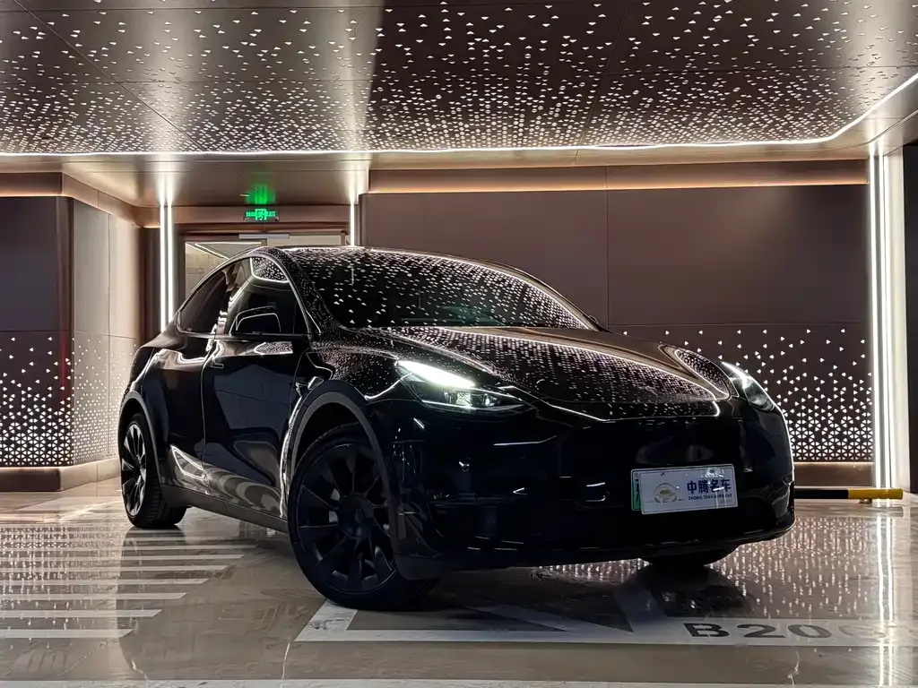 Tesla Model Y — фото 10