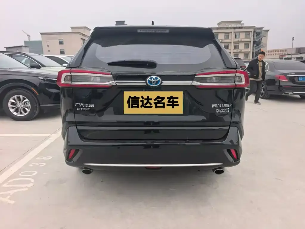 Toyota Wildlander New Energy 2021 из CN, фото 6