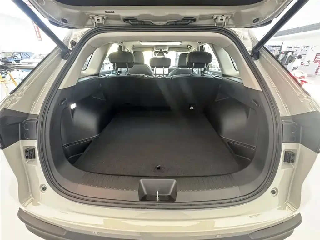 Haval Xiaolong MAX — фото 10
