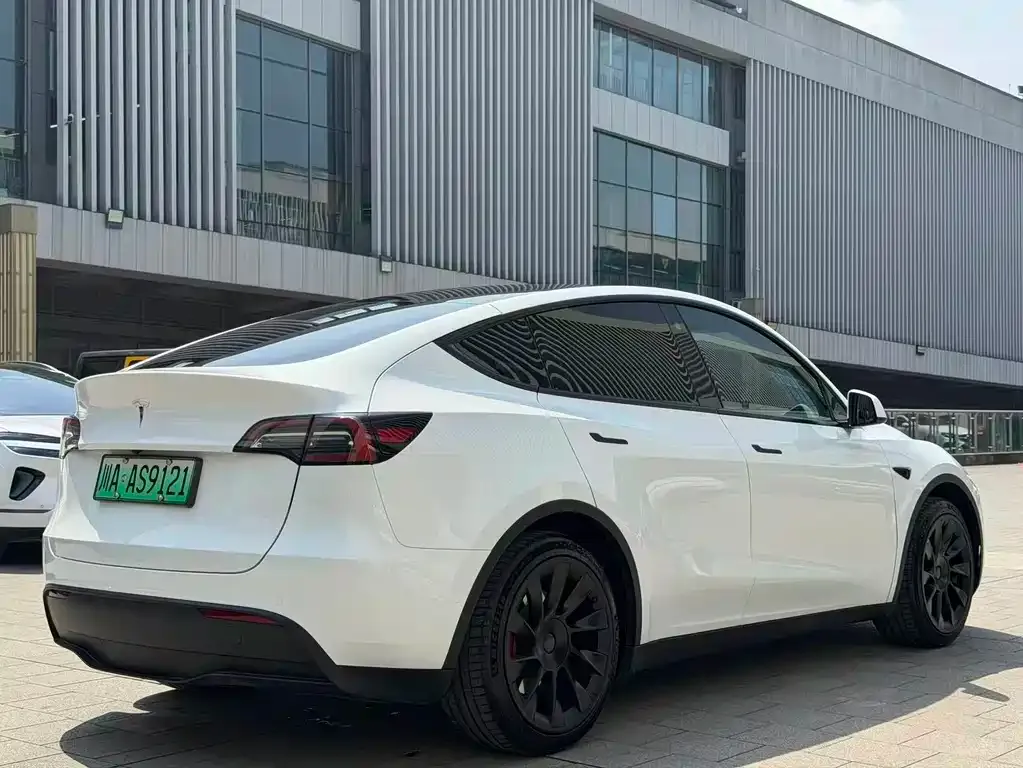 Tesla Model Y — фото 3