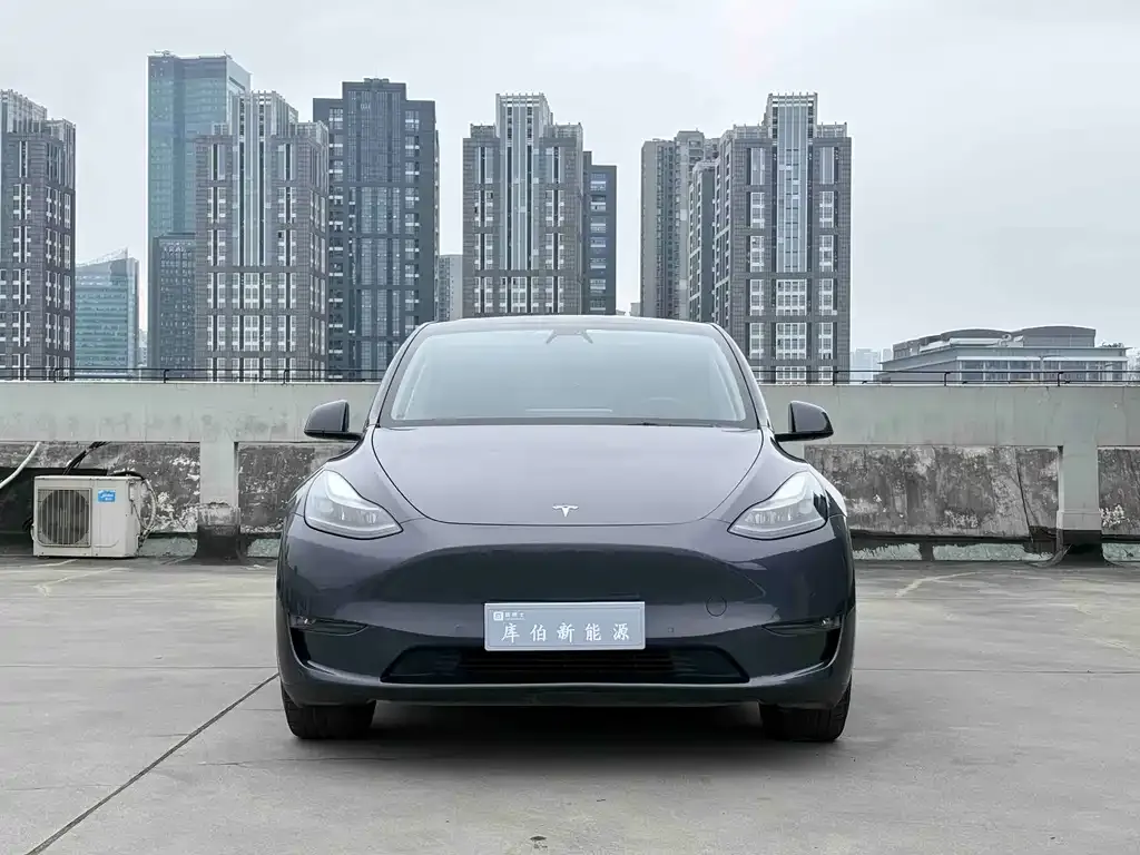 Tesla Model Y — фото 6