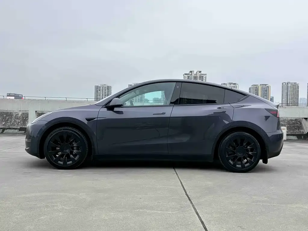 Tesla Model Y — фото 8