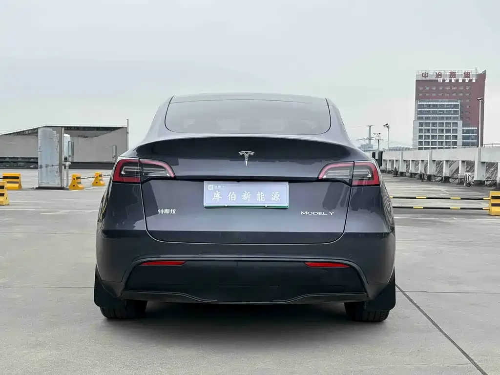 Tesla Model Y — фото 2