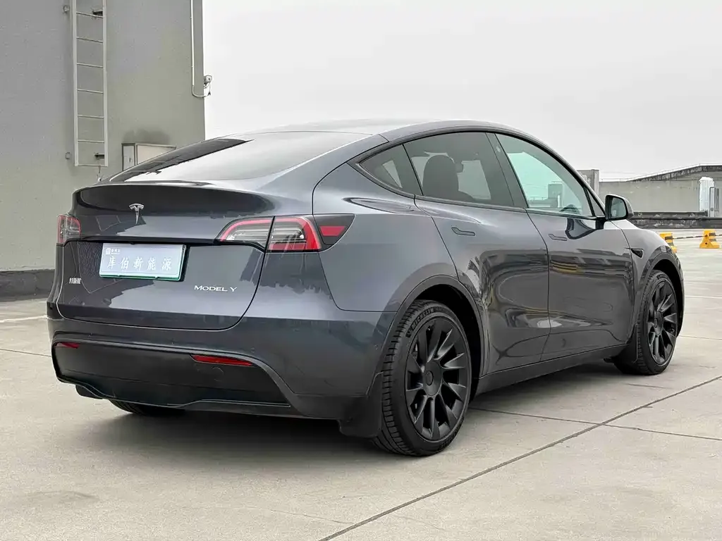 Tesla Model Y — фото 9