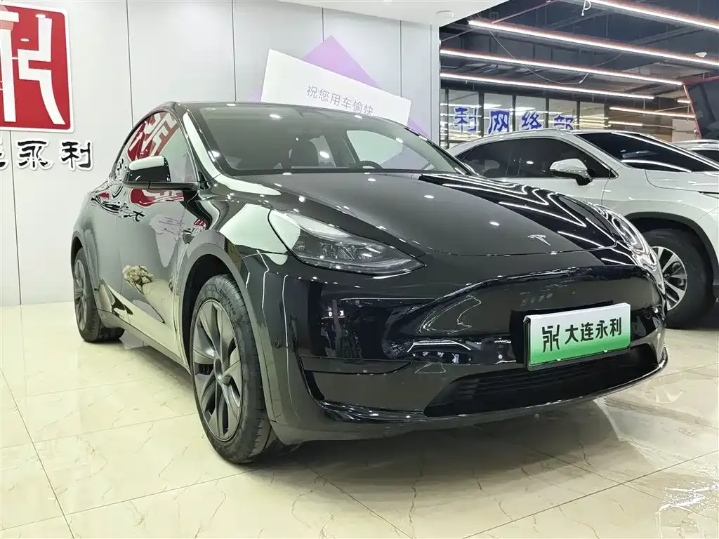 Tesla Model Y — фото 9