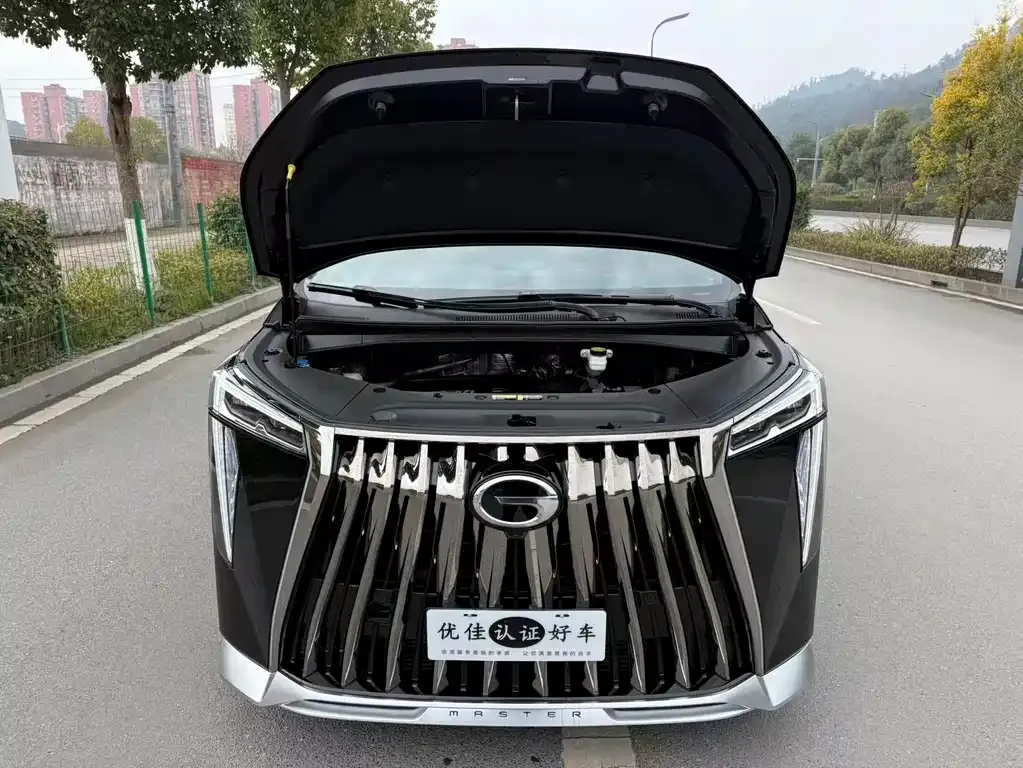 GAC Motor Trumpchi M8 2024 из CN, фото 3