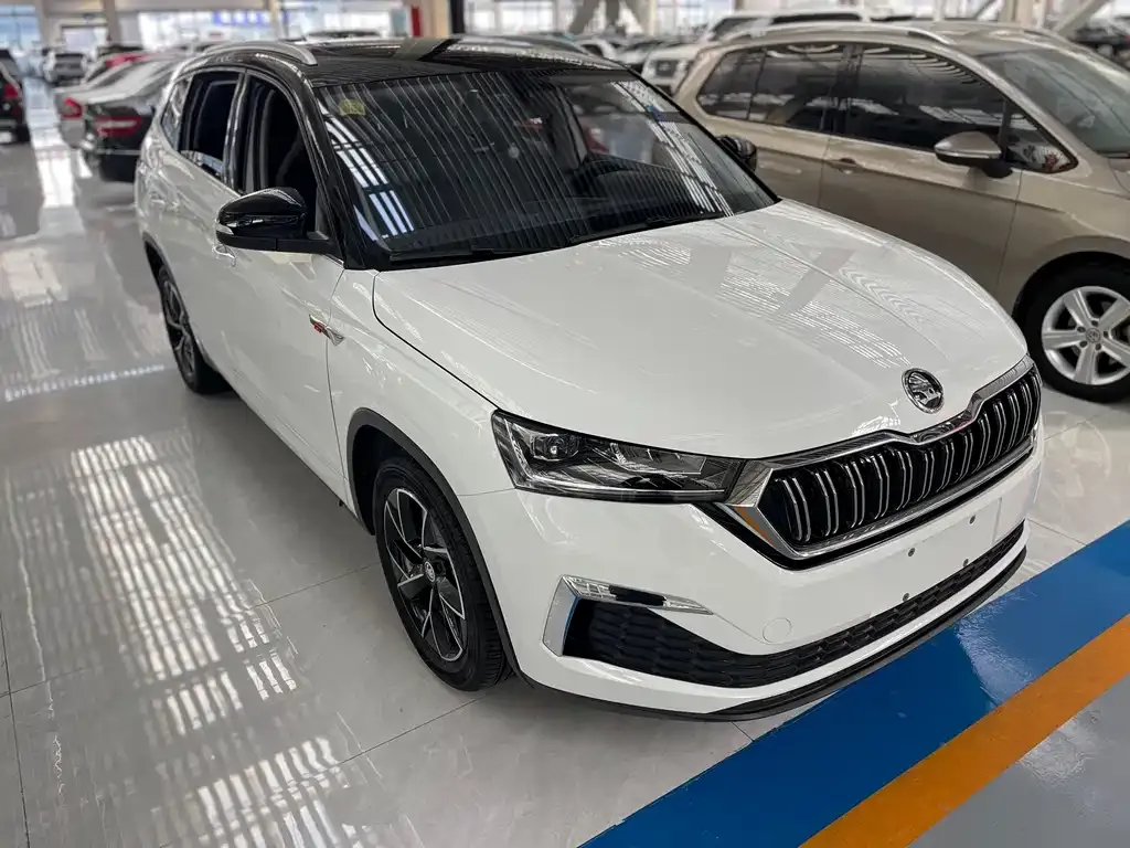 Skoda Kamiq 2023 из CN, фото 6