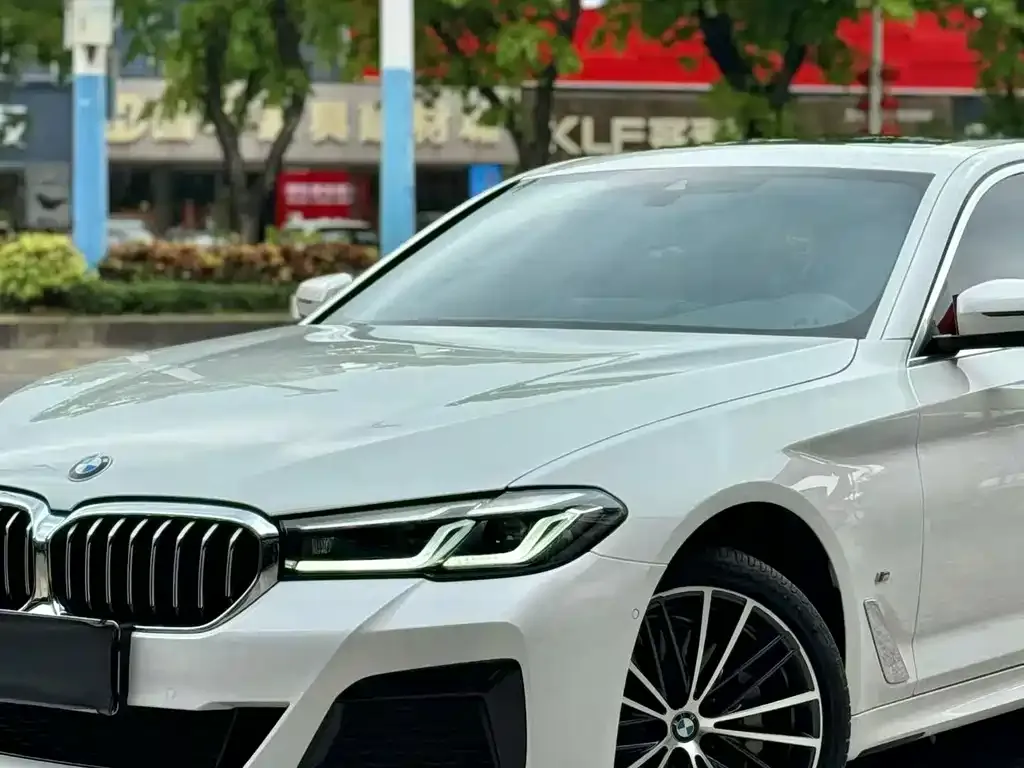 BMW 5 Series 2023 из CN, фото 3