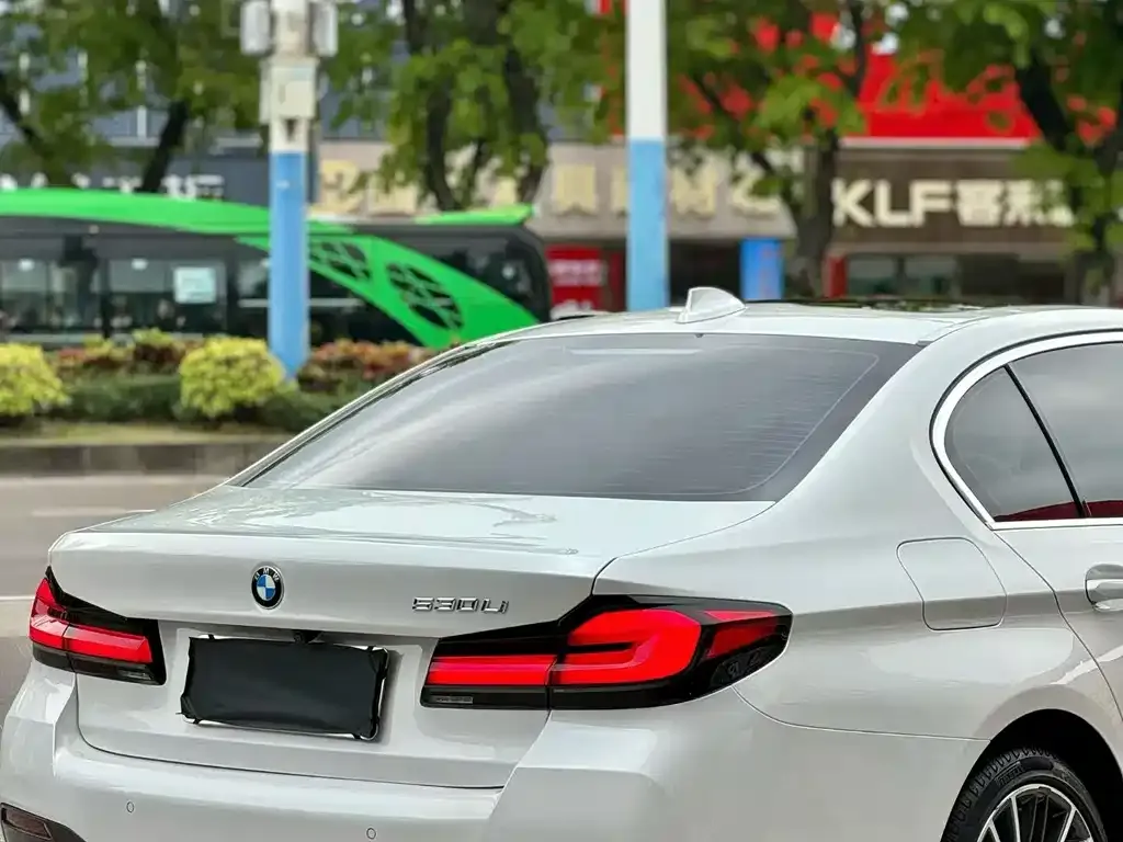 BMW 5 Series 2023 из CN, фото 4