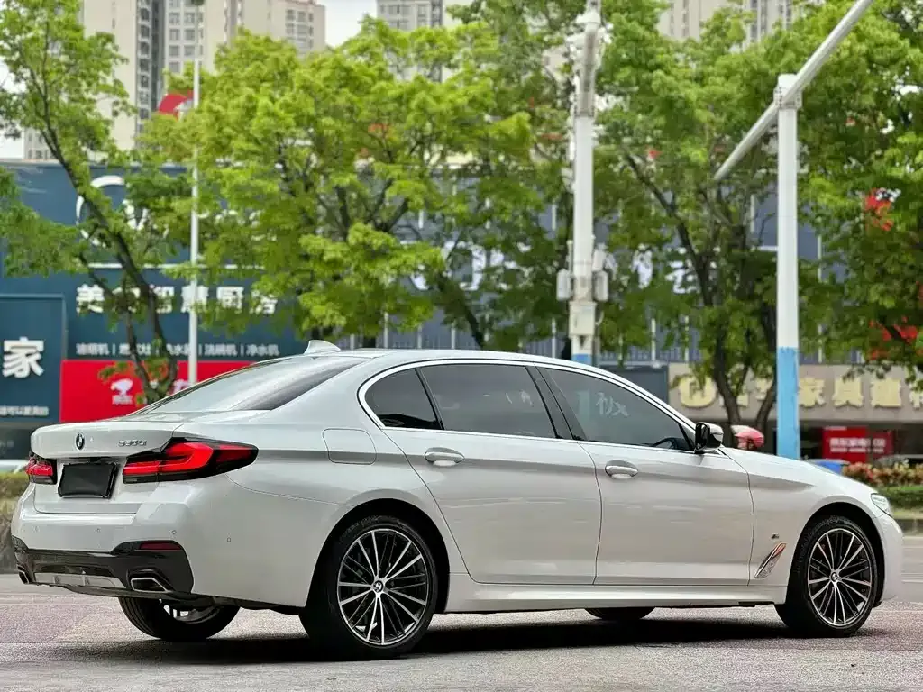 BMW 5 Series 2023 из CN, фото 9