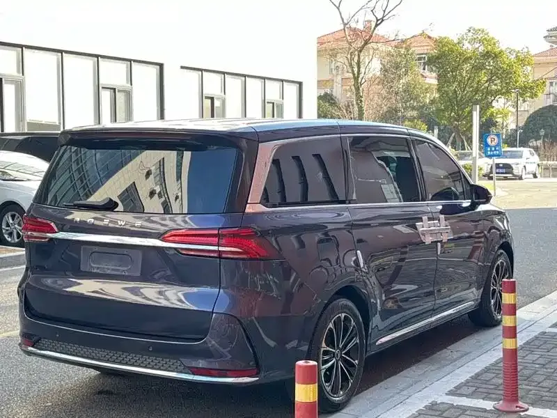 Roewe iMAX8 2022 из CN, фото 7