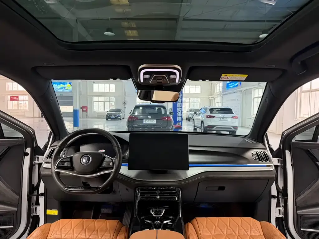 BYD Tang New Energy 2023 из CN, фото 10