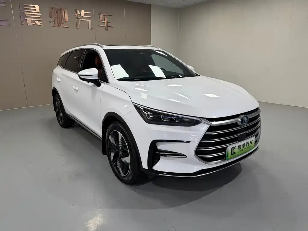 BYD Tang New Energy 2023 из CN, фото 2