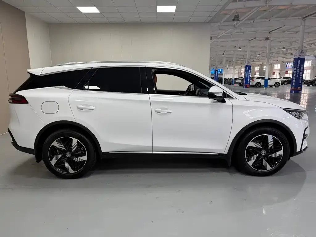 BYD Tang New Energy 2023 из CN, фото 4