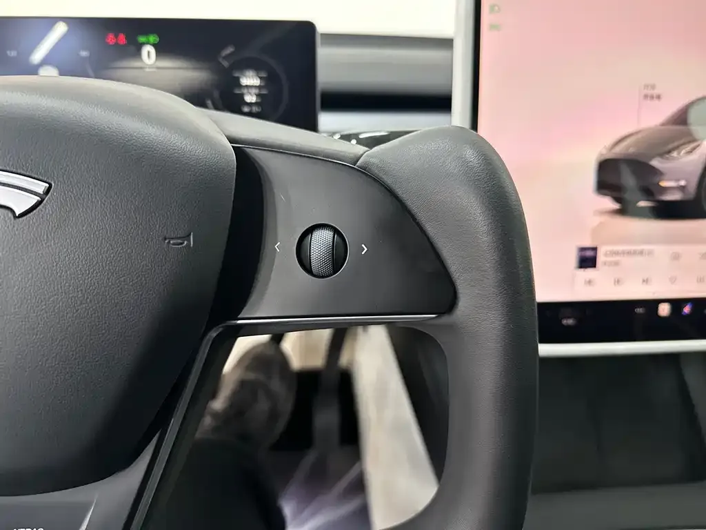 Tesla Model Y 2024 из CN, фото 8