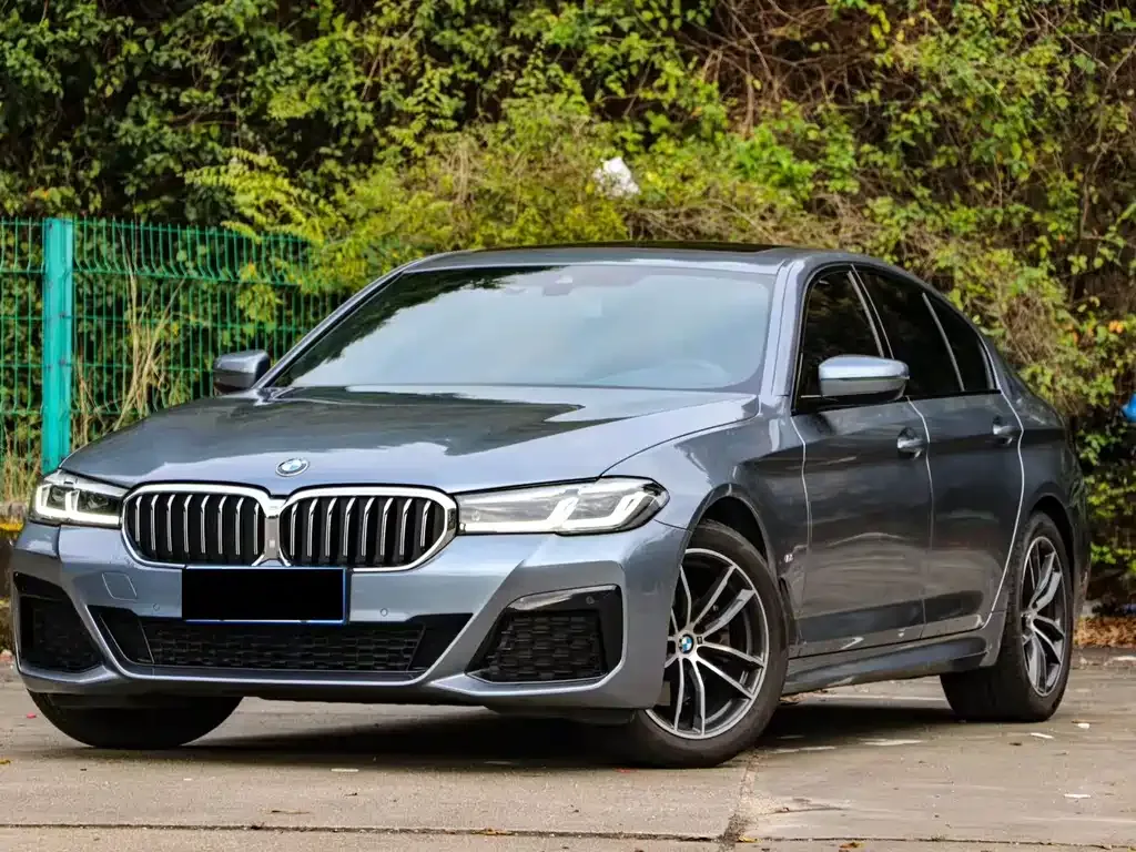 BMW 5 Series (Import) — фото 1