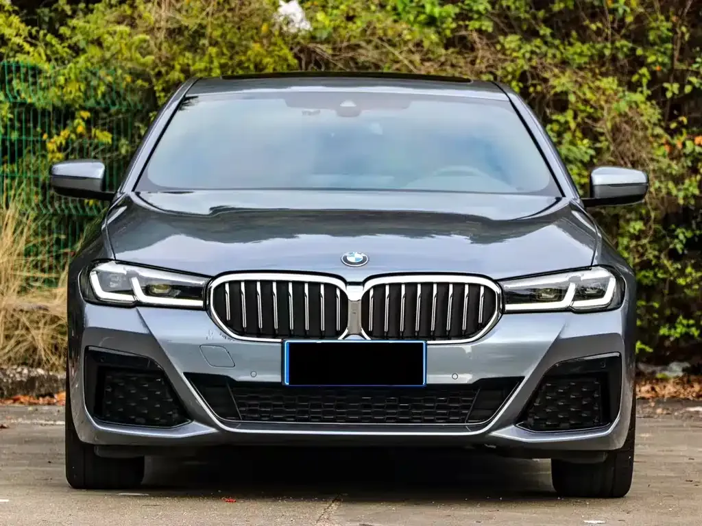 BMW 5 Series (Import) — фото 10