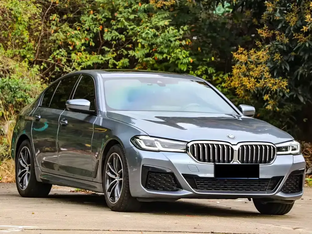 BMW 5 Series (Import) — фото 9