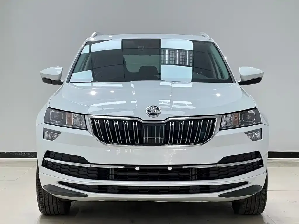 Skoda Karoq — фото 2