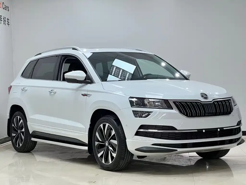 Skoda Karoq — фото 8