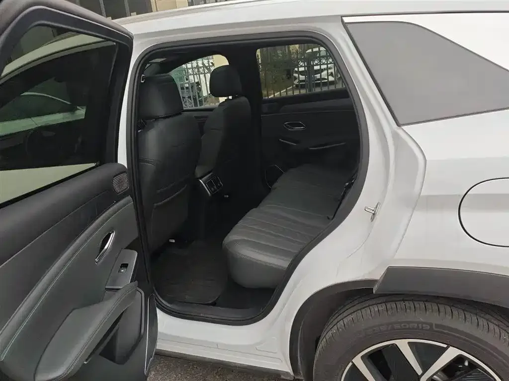 BYD L DM-i — фото 3