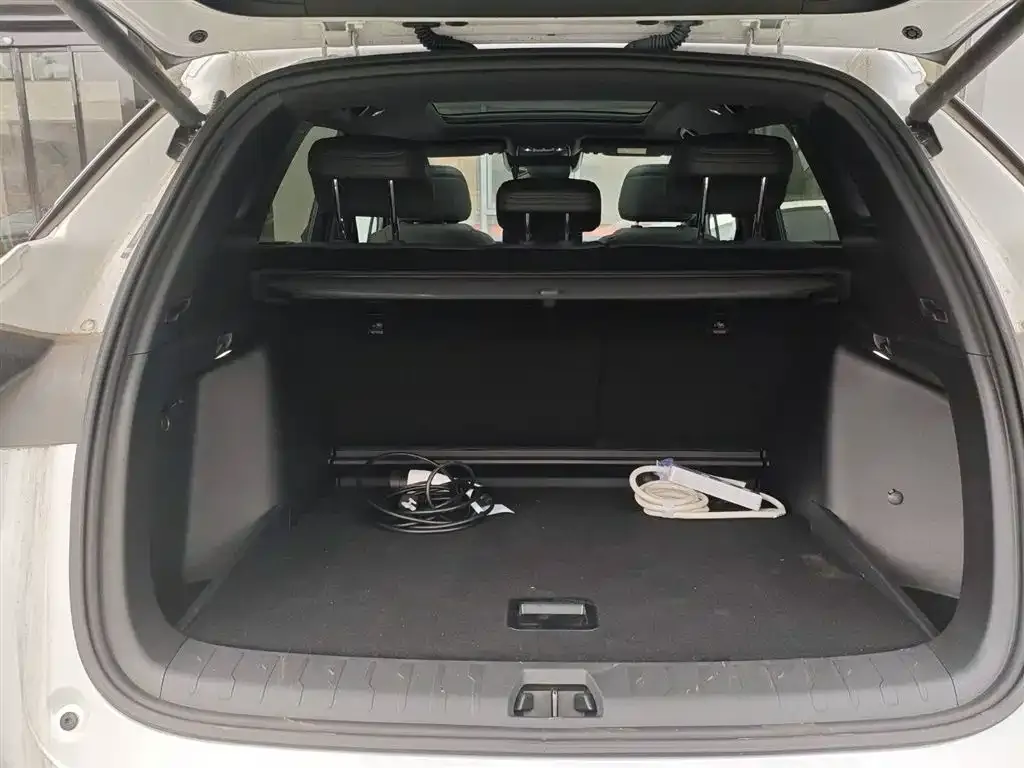 BYD L DM-i — фото 9