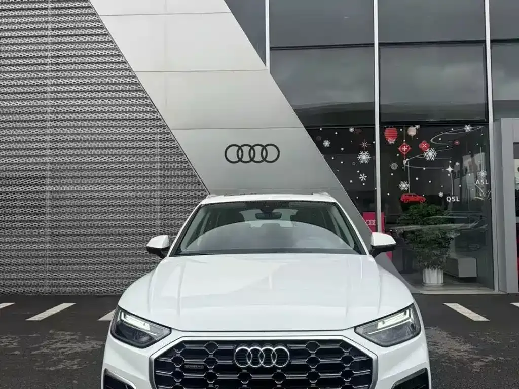 Audi Q5L — фото 10