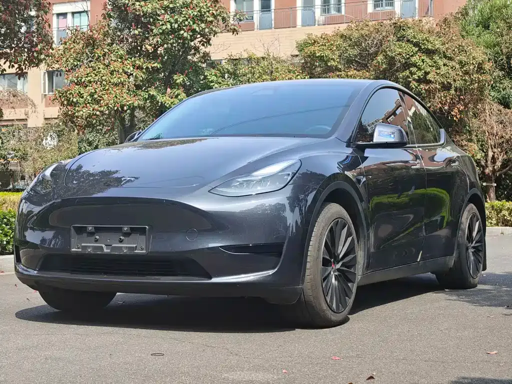 Tesla Model Y — фото 1