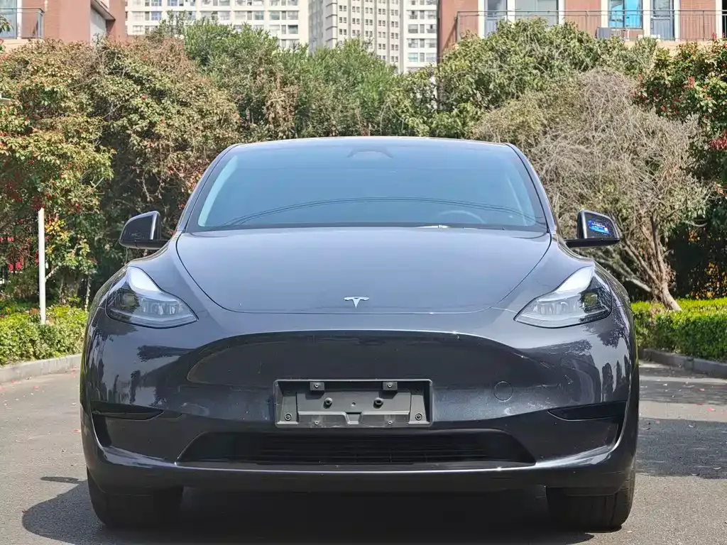 Tesla Model Y — фото 6