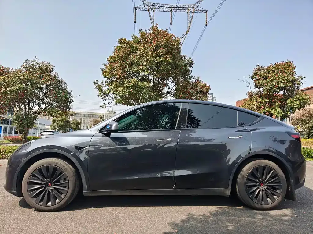 Tesla Model Y — фото 7